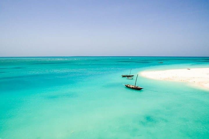 Mnemba Dolphin, Jozani Forest & Nungwi Aquarium: Zanzibar Day Tour Guide photo 3
