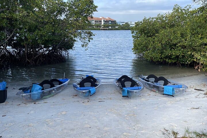 Clear Kayak Eco Tour in Jupiter FL — Manatees, Mangroves & Sandbars