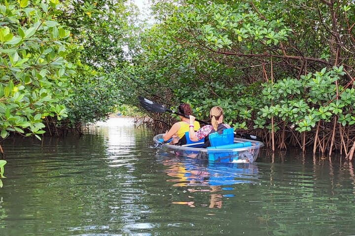 Clear Kayak Eco Tour in Jupiter FL — Manatees, Mangroves & Sandbars photo 4