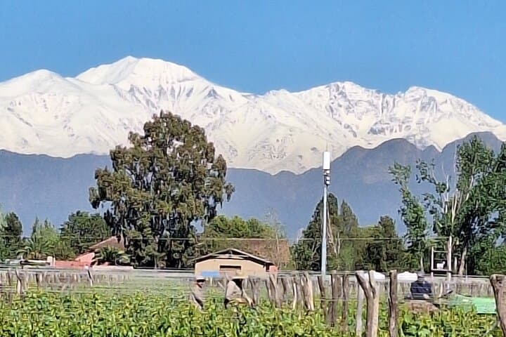 Private Luján de Cuyo Wineries Tour — Malbec Tastings & Private Driver photo 3