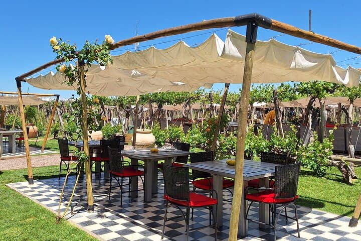 Private Luján de Cuyo Wineries Tour — Malbec Tastings & Private Driver photo 5