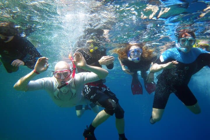 Private Abu Dabbab Snorkeling with Turtles & Dugong — Marsa Alam Day Trip photo 2