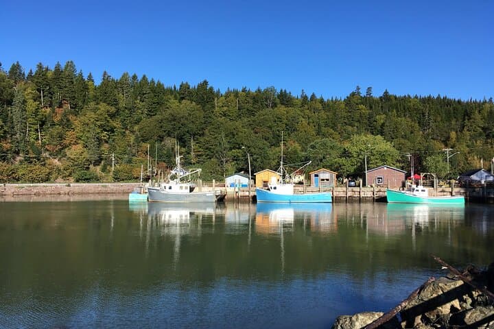 Accessible Private Sightseeing Tour in Saint John — Bay of Fundy & Reversing Rapids