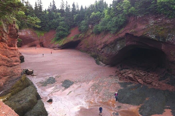 Accessible Private Sightseeing Tour in Saint John — Bay of Fundy & Reversing Rapids photo 3
