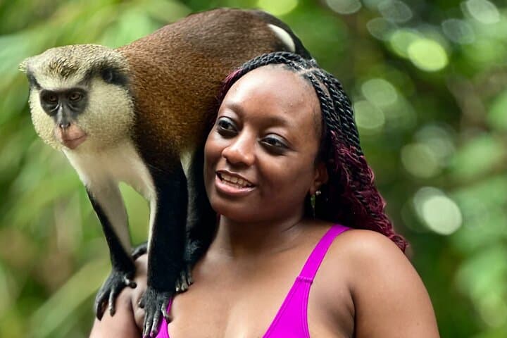 Grenada Day Tour: Concord Falls, Chocolate & Rum Tasting at Grand Etang Lake