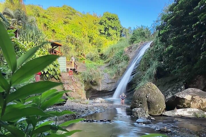 Grenada Day Tour: Concord Falls, Chocolate & Rum Tasting at Grand Etang Lake photo 3