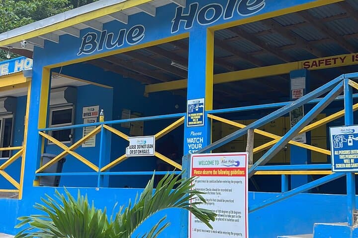 Private Tour: Climb Dunn's River Falls & Plunge into Blue Hole from Montego Bay photo 3