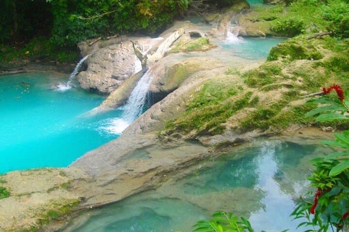 Private Tour: Climb Dunn's River Falls & Plunge into Blue Hole from Montego Bay photo 4