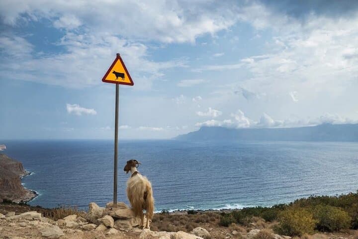Private Jeep Safaris from Chania: Tailor-Made Off-Road Crete Tours photo 3