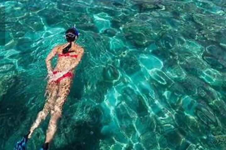 Family Snorkeling & Lunch from Montego Bay — Reef Adventure for All Ages photo 6