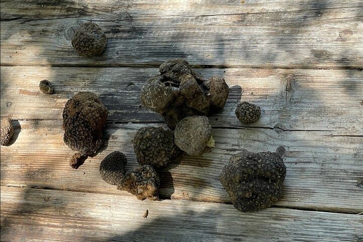 Truffle Hunting and Cretan Culinary Celebration from Elounda photo 4