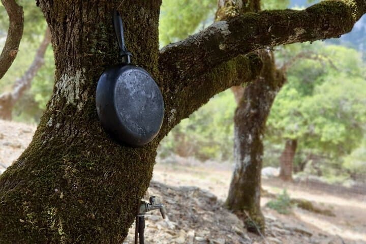 Truffle Hunting & Cretan Culinary Experience on Lassithi Plateau from Heraklion photo 6