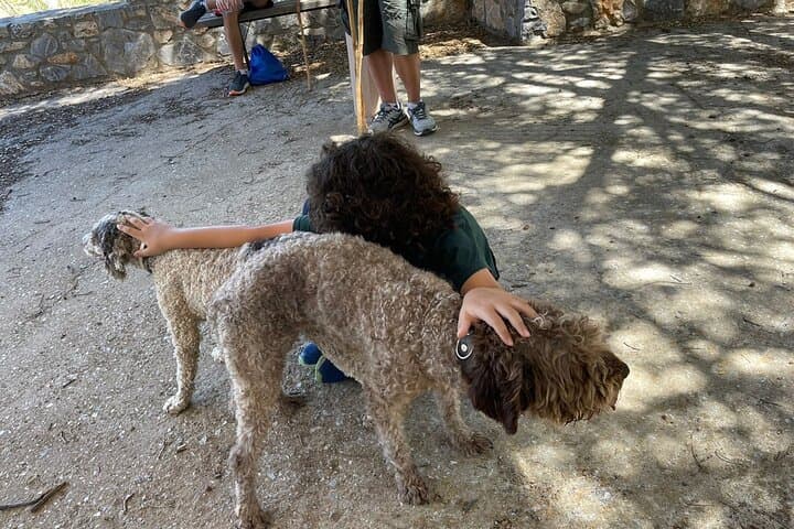 Truffle Hunting and Cretan Culinary Celebration from Elounda