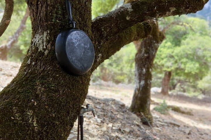 Truffle Hunting and Cretan Culinary Celebration from Elounda photo 6