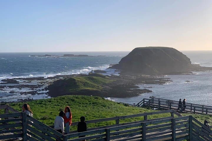 Philip Island Penguin Parade & Koala Eco Tour from Melbourne photo 6