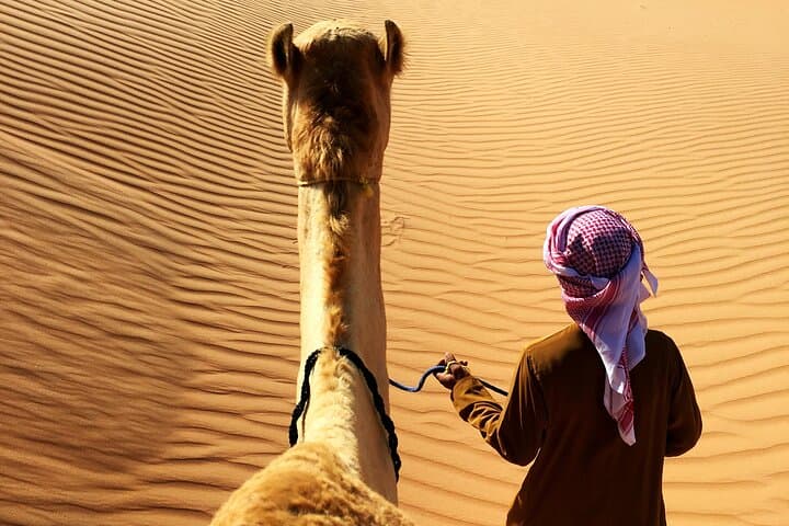 Wahiba Sands Half-Day Safari: Dune Driving, Bedouin Visit & Sunset Dinner photo 2