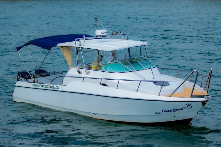 Mirissa Private Whale-Watching Cruise on a Sports Boat photo 6