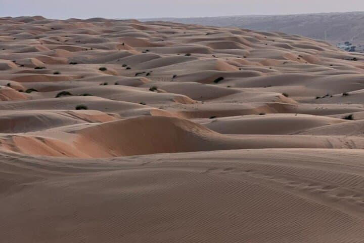 Wahiba Sands Half-Day Safari: Dune Driving, Bedouin Visit & Sunset Dinner photo 3