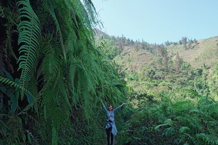 Conquer Fansipan Peak: Day Trek to Vietnam's Roof from Hà Nội photo 4