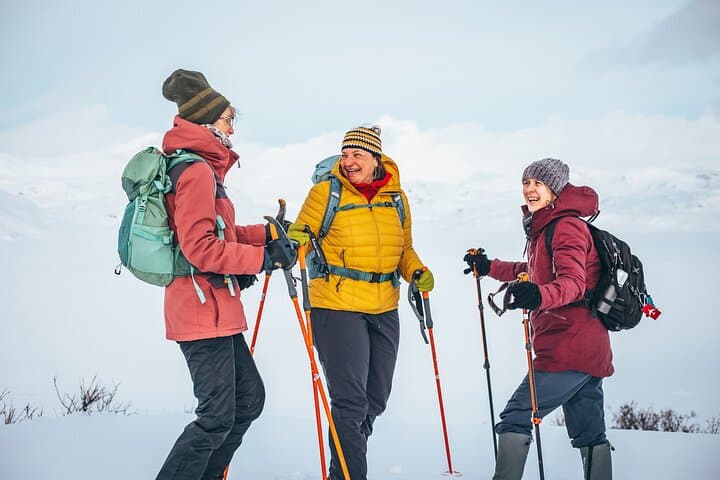 Winter in Jotunheimen: 2-Day Snowcoach & Snowshoe Escape to Eidsbugarden
