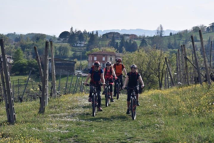 E‑Bike Through Parma’s Vineyards: Torrechiara Castle, Parmigiano & Prosciutto