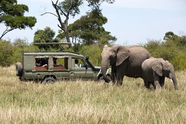 3-Day Serengeti Safari: Big Five Game Drives & Migration Highlights