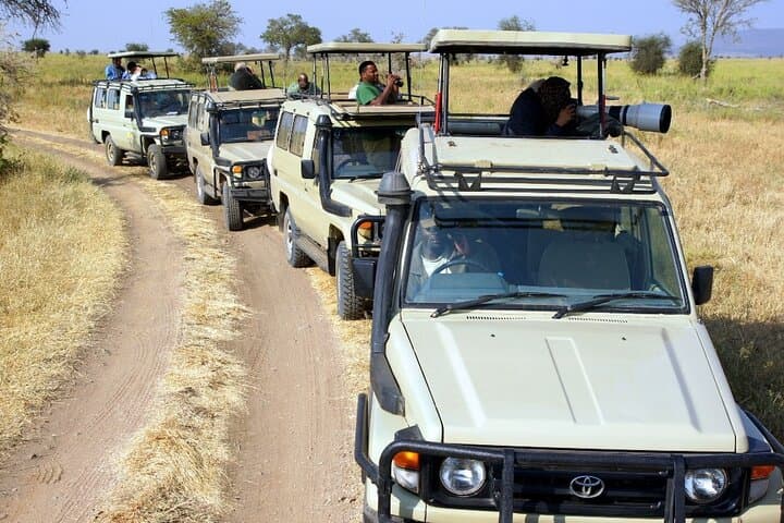 3-Day Serengeti Safari: Big Five Game Drives & Migration Highlights photo 2