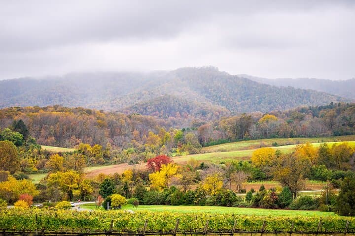 Private Full-Day Virginia Wine Tour from Washington: Blue Ridge & Charlottesville Tastings