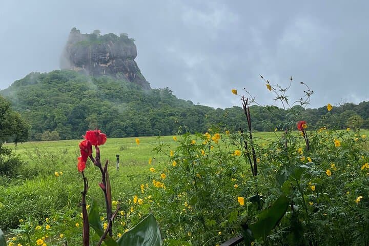 Sigiriya and Dambulla Day Tour from Kandy — Climb the Lion Rock & Explore Dambulla Cave Temple photo 5