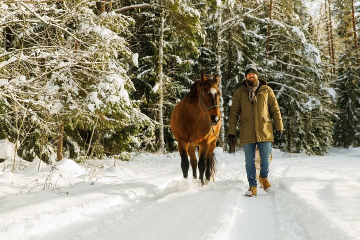 Woodland Horseback Ride Near Riga — 1-Hour Guided Trail at Dabas Zirgi photo 2