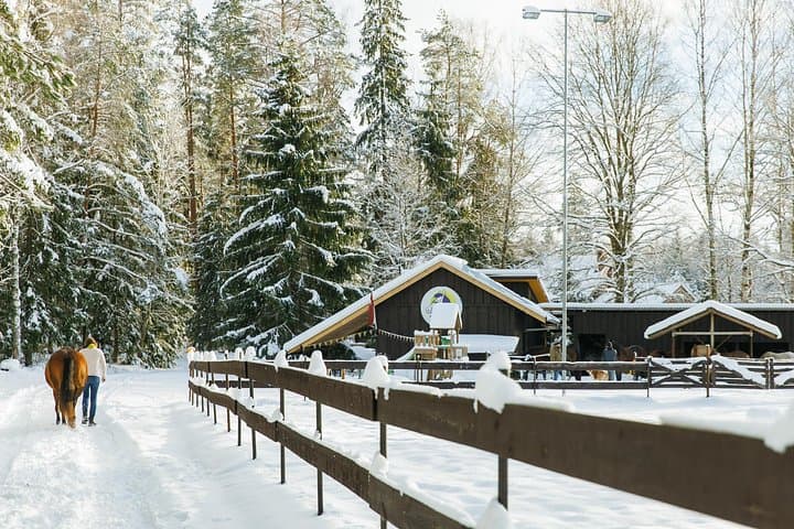 Woodland Horseback Ride Near Riga — 1-Hour Guided Trail at Dabas Zirgi photo 3