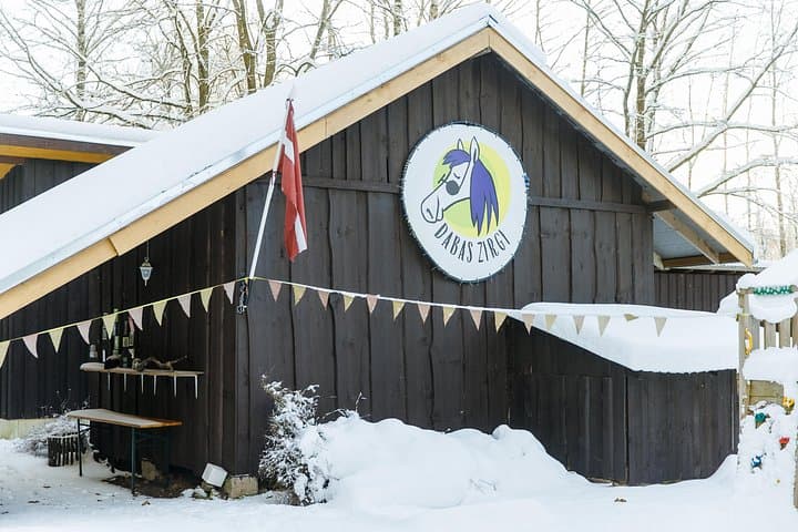 Woodland Horseback Ride Near Riga — 1-Hour Guided Trail at Dabas Zirgi photo 4