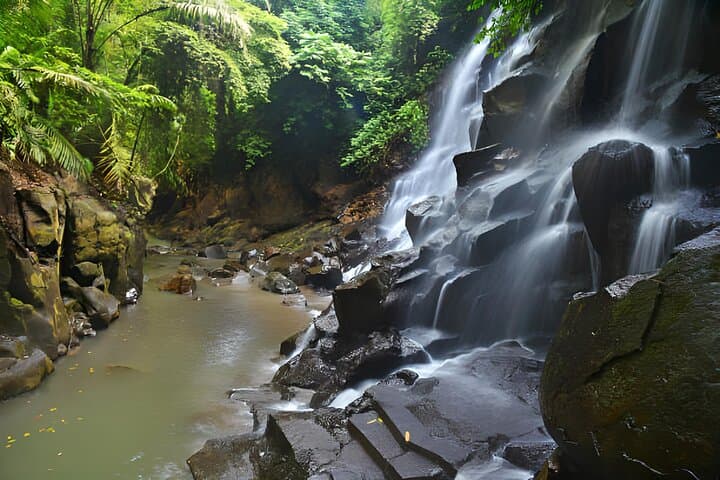 Ubud Rice Terraces, Kanto Lampo Waterfall & Tirta Empul Day Tour — Bali Culture and Nature photo 2