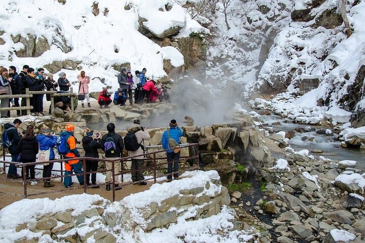 Winter Snow Monkey Viewing and Obuse Cultural Day Trip from Nagano photo 4