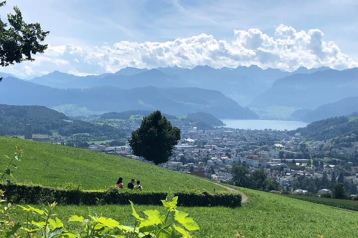 Half-Day Lake Lucerne Country Walk: Ridge Views, Vineyards & Wagner's Villa photo 4
