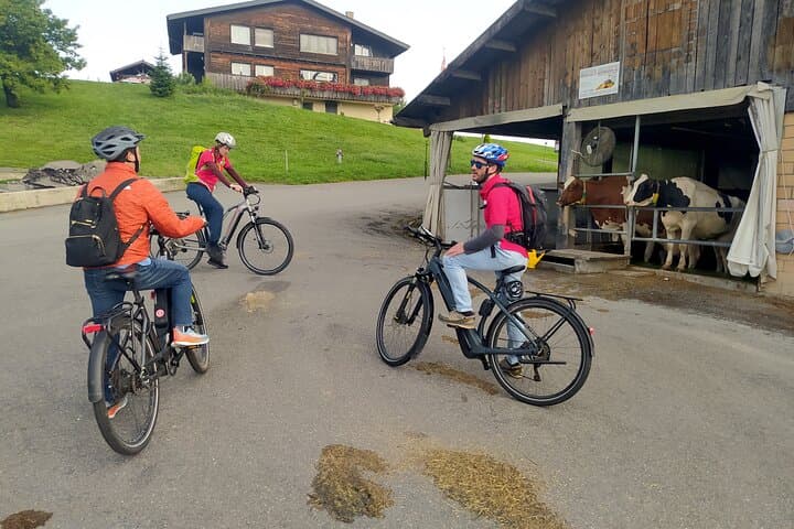 Lake Lucerne Panoramic E‑Bike Tour & 2‑Hour Cruise — Ride William Tell’s Route photo 2