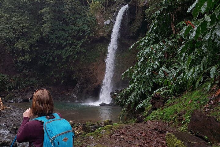 Hike Lomba de São Pedro Waterfalls & Gorreana Tea Plantation — Full-Day Azores Trail