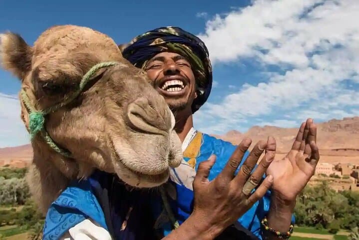 Camel Ride in Marrakech's Palmeraie: 1-Hour Shared Tour & Tea Experience photo 3