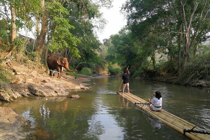 Mae Wang Elephant Sanctuary, Waterfall & Bamboo Rafting Day Trip from Chiang Mai