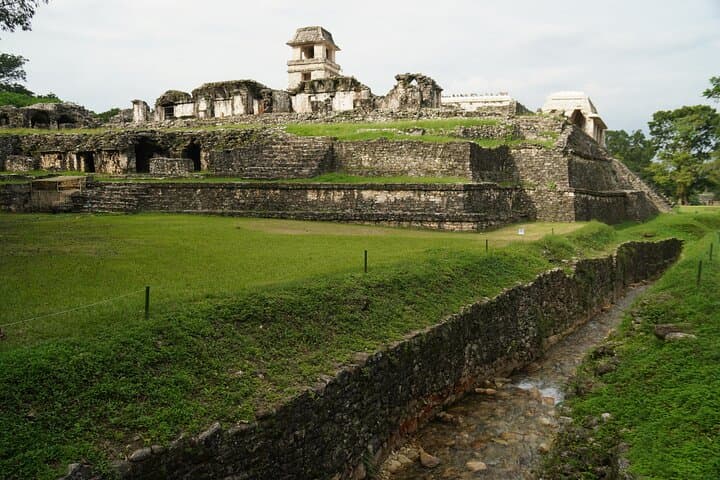 Guided Tour of Palenque Archaeological Zone: Jungle Ruins & Museum photo 4