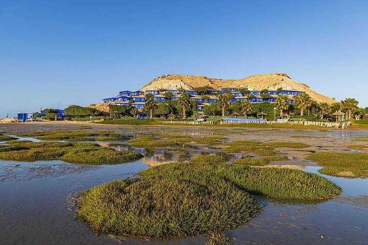 11-Day Moroccan Sahara Odyssey: Marrakech to Dakhla Desert Expedition