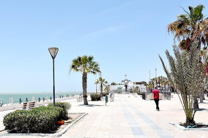 11-Day Moroccan Sahara Odyssey: Marrakech to Dakhla Desert Expedition photo 4