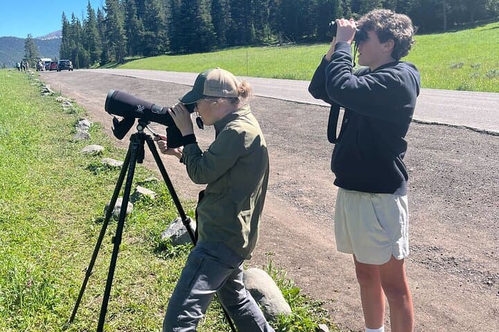 Explore Yellowstone’s Lamar Valley: Full-Day Wildlife Safari from Bozeman
