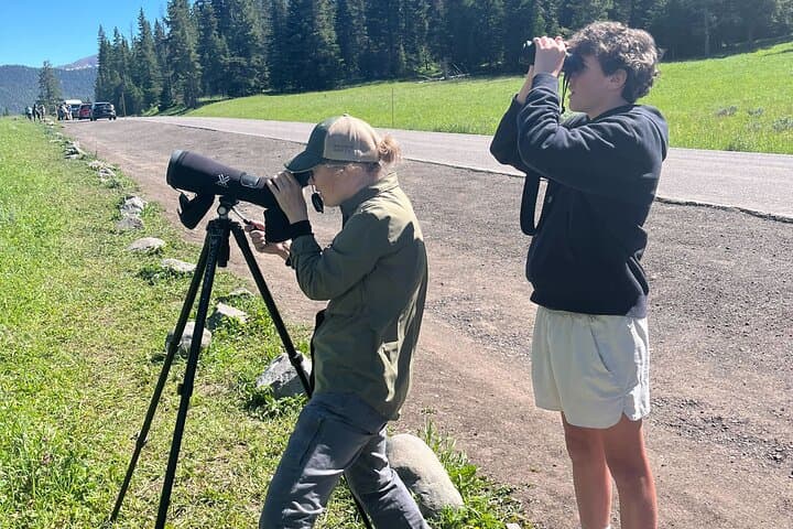 Full-Day Lamar Valley Wildlife Safari from Paradise Valley — Yellowstone Wildlife Tour