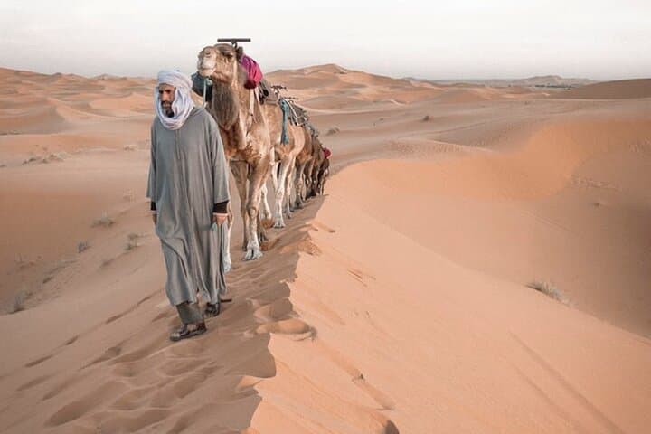 Crossing the Sahara: 15-Day Morocco Desert Expedition from Marrakech photo 3