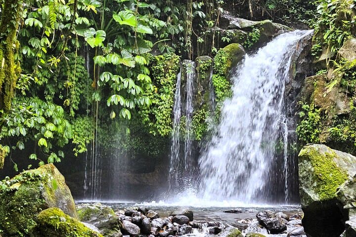 Mount Batukaru Jungle Trek: Waterfalls, Sacred Temples & Village Life in Bali photo 2