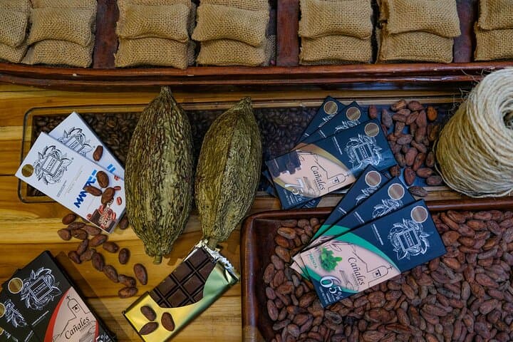 Rocafuerte Cocoa Farm Tour — Craft Chocolate Experience near Manta, Ecuador