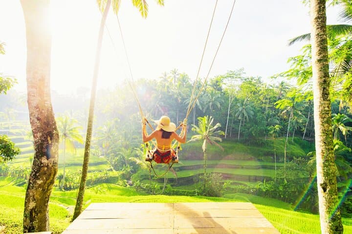 Private Ubud Tour: Monkey Forest, Tegalalang Rice Terraces & Coffee Plantation photo 3