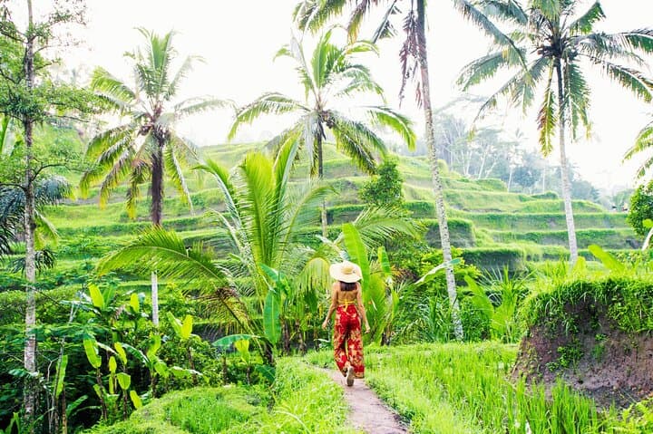 Private Ubud Tour: Monkey Forest, Tegalalang Rice Terraces & Coffee Plantation photo 2