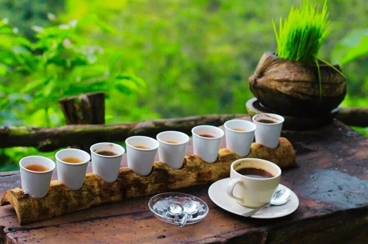 Private Ubud Tour: Monkey Forest, Tegalalang Rice Terraces & Coffee Plantation photo 5